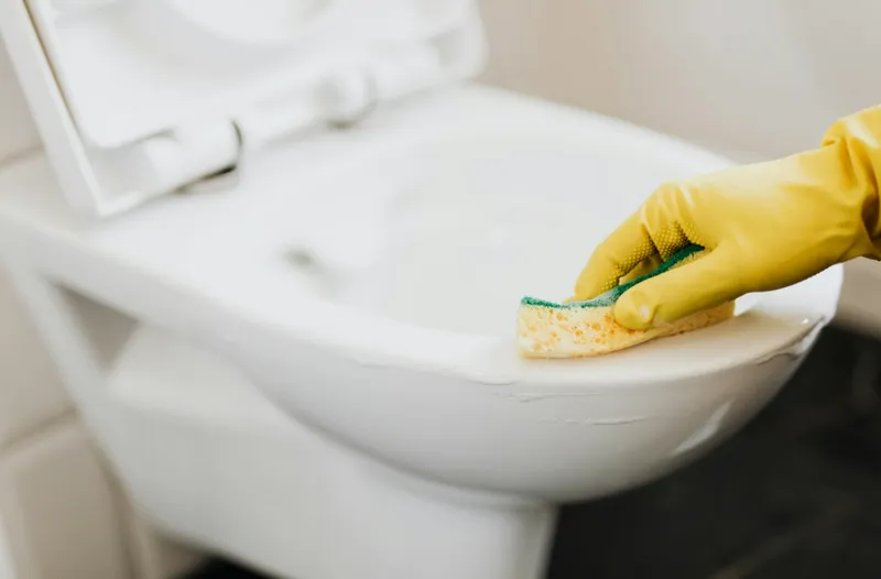 Så funkar det med rot och rut